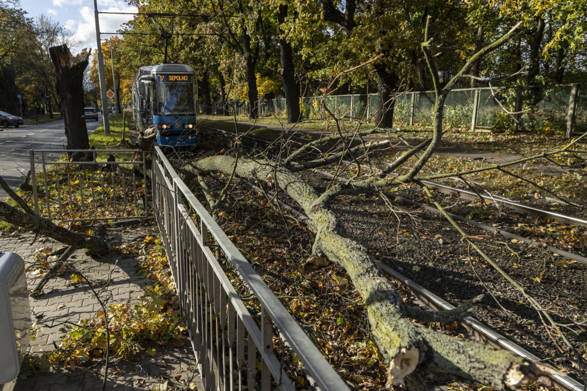 Wrocław. Uszkodzenie trakcji tramwajowej