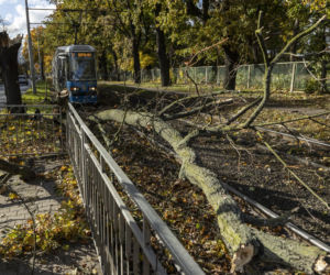 Wrocław. Uszkodzenie trakcji tramwajowej