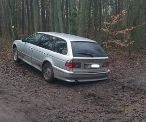 BMW porzucone w lesie