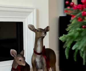 Małgorzata Rozenek-Majdan