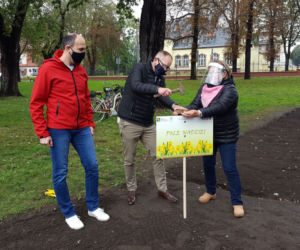 Ponad 2 tysiące żonkili posadzono na Polu Nadziei w Lesznie