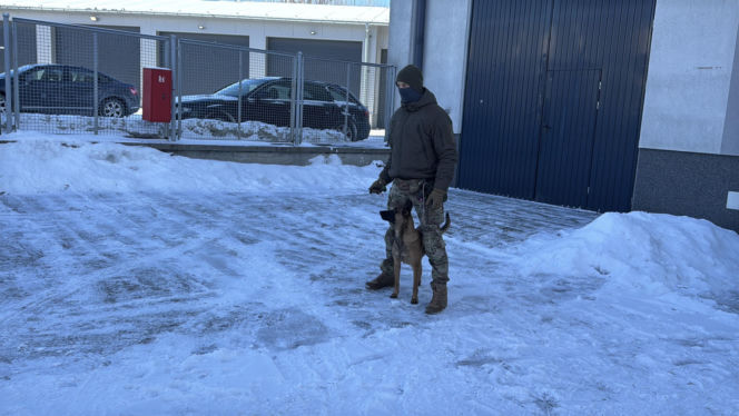 Tajga z lubelskich kontrterrorystów wróciła z międzynarodowego szkolenia