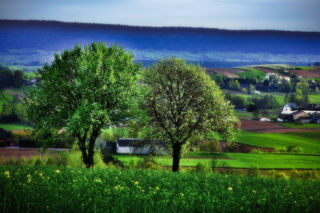 Gdzie spędzić majówkę? Pomysł na idealny wypoczynek w Świętokrzyskiem