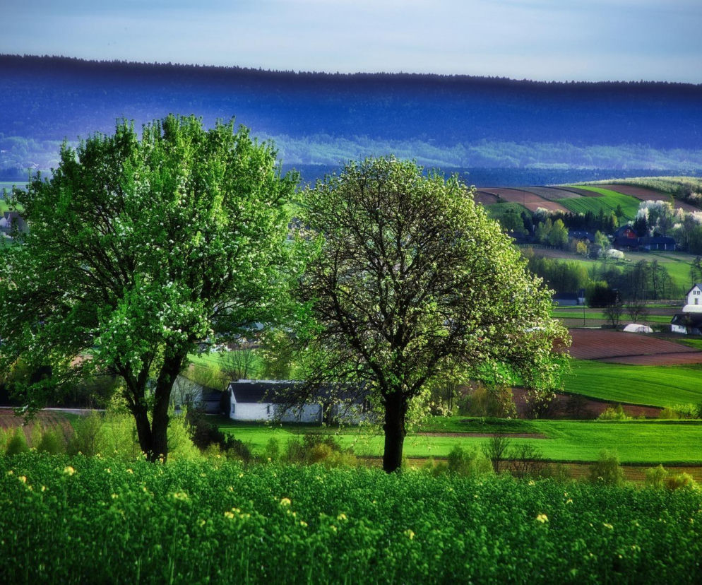 Gdzie spędzić majówkę? Pomysł na idealny wypoczynek w Świętokrzyskiem