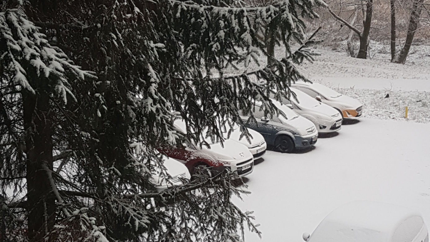 Zima w Toruniu