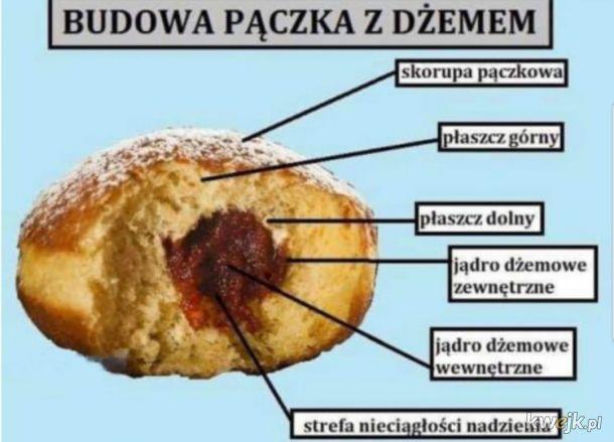 MEMY na Tłusty Czwartek 2026