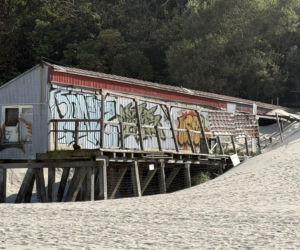 185 kabin na palach, restauracja z widokiem na Bałtyk. Brzmi dobrze, ale wygląda gorzej