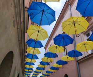 Na Tarnów wylał się hejt z powodu... parasolek. Internautom nie spodobały się kolory