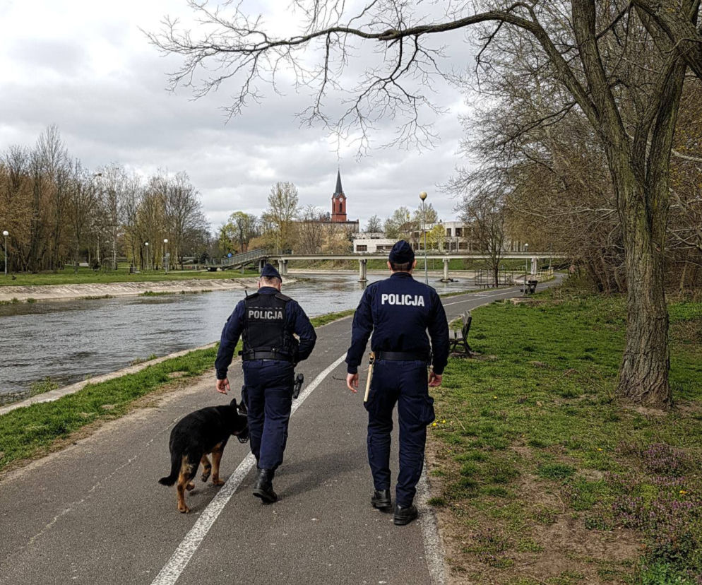 policja