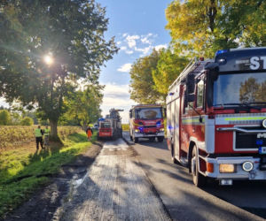 Tragiczny wypadek na DW-807 w powiecie garwolińskim