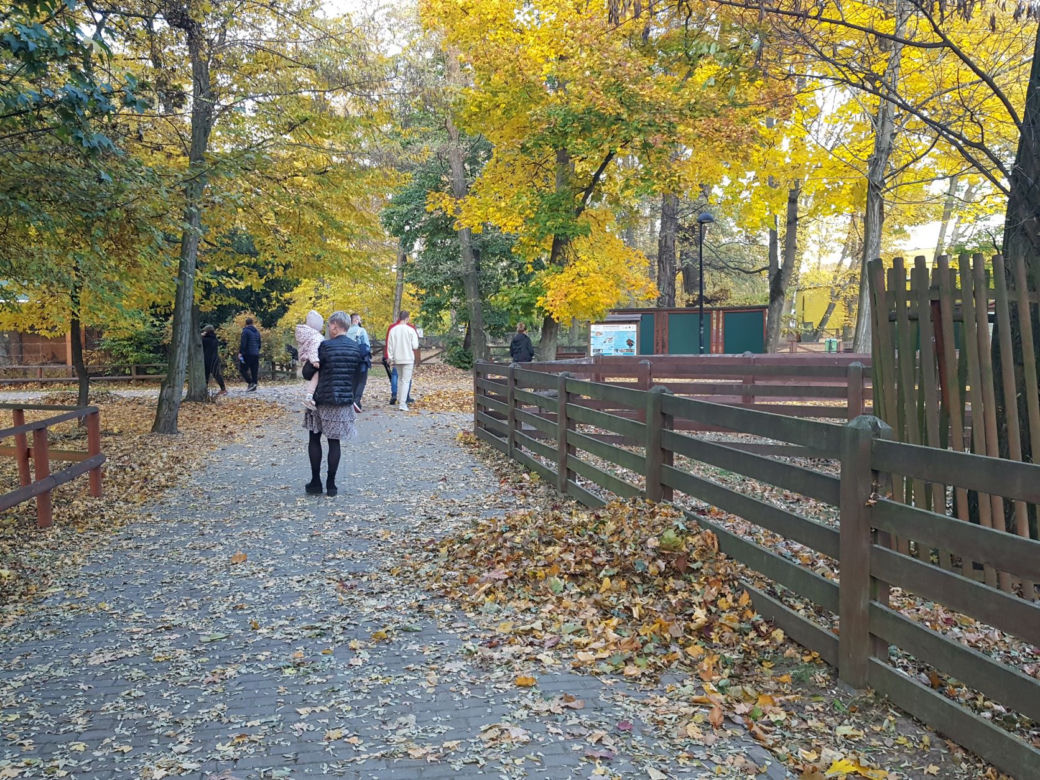 Park 1000-lecia w Lesznie na chwilę przed zachodem słońca