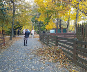 Park 1000-lecia w Lesznie na chwilę przed zachodem słońca