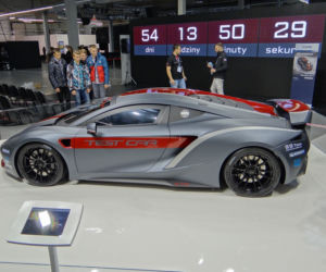 Arrinera Hussarya 