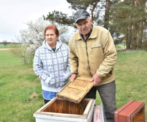 Ktoś nam ukradł 80 uli