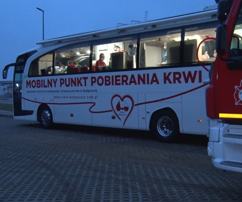 Oddaj krew, dostaniesz choinkę! Krwiobus na trasie Kujaw i Pomorza