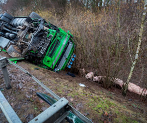 Transport świń zabił Polaków
