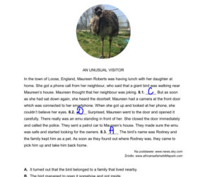 Próbny egzamin ósmoklasisty 2026 CKE: angielski - wszystkie odpowiedzi do arkusza CKE 14.01.2026