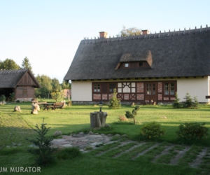 Siedlisko 2