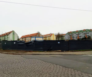 Przy ulicy Janosika wycięto dziesiątki drzew