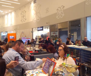 Gliwice: Przepiękne koty rasowe w Europie Centralnej. Zobaczcie [ZDJĘCIA]