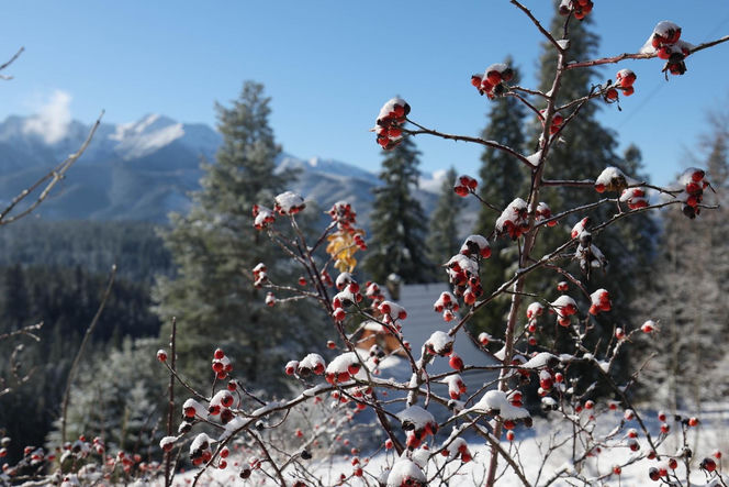 Śnieg w Tatrach
