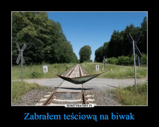 Tych memów o teściowych nie pokażesz mamie! Internauci nie mają litości