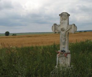 Radruż