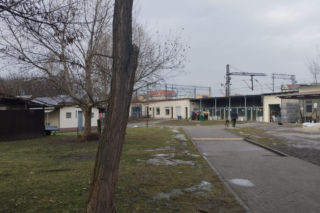 Opolskie schronisko przyjęło psy z Kocham Psisko 