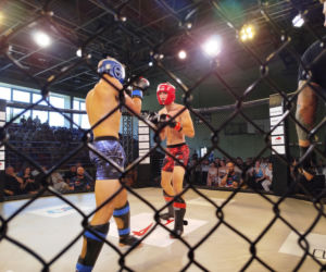 Fotorelacja z Gali Sportów Walki Taurus Fight Arena 2026 w Siedlcach