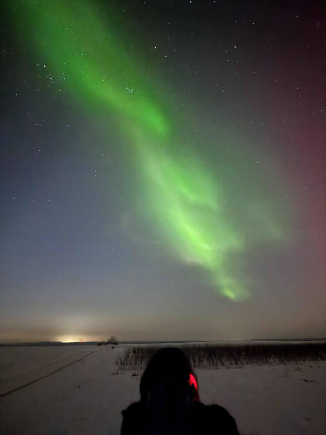 Niesamowite zjawisko nad Świętokrzyskim. Zorza polarna rozświetliła niebo!