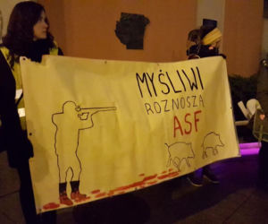 Ekolodzy boją się o dziki. Wyszli na ulice Bydgoszczy, by zaprotestować