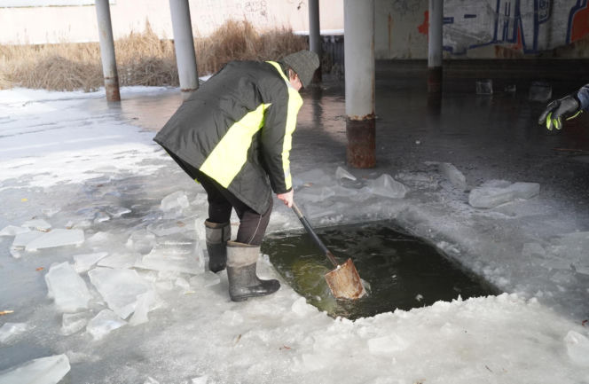 Rybi dramat w Białymstoku. Tysiące martwych ryb pod lodem