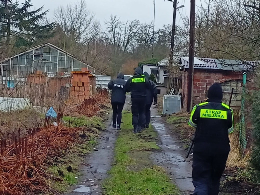 Psi koszmar w Szczecinie Dąbiu. Interweniowali strażnicy miejscy i wolontariusze TOZ