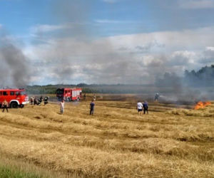 Bolesty. Żniwa w pełni, a kombajn stanął w ogniu! Dramat rolników z podlaskiego