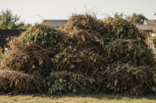 Palenie gałęzi w ogrodzie. Czy każdy Polak dostanie mandat?