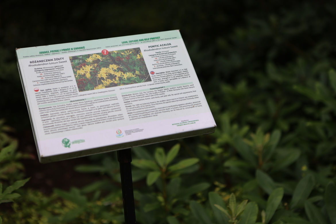 Kwitnący Ogród Botaniczny UMCS w Lublinie