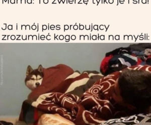 Memy z mamą w roli głównej 