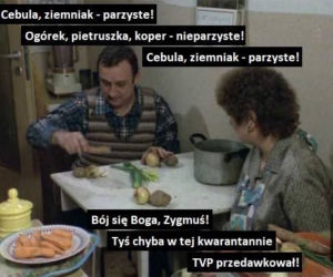 Szkoła TVP: Memy. Liczby parzyste, średnica i śmiech przez łzy