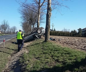 Kierowca BMW uderzył w drzewo w gminie Lubicz