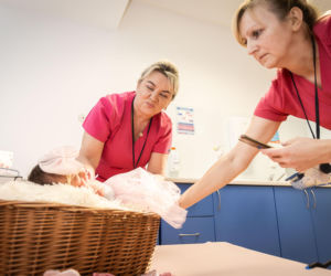 Baby boom w Sosnowcu. Inne porodówki pustoszeją, a oni pękają w szwach