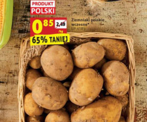 Biedronka promocje od 5.08
