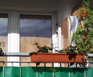Rozstrzelał swoją ukochaną