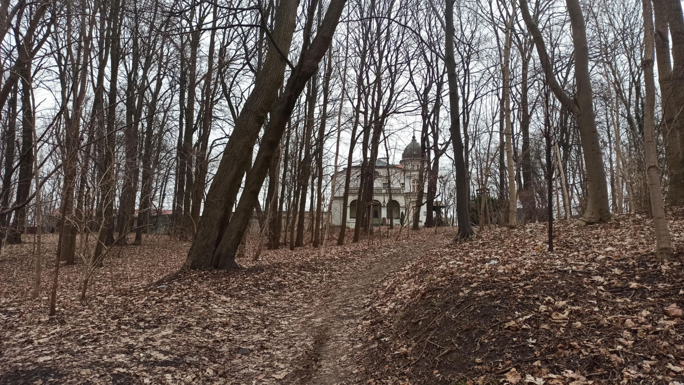 Muzeum Przyrody w Olsztynie. Poznajcie faunę oraz florę Warmii i Mazur
