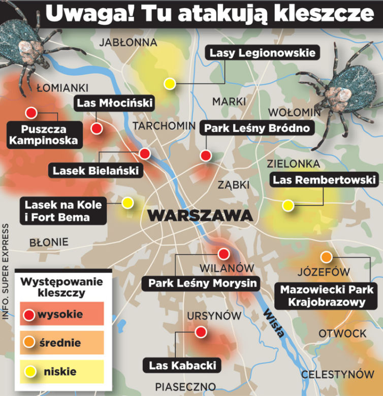Kleszcze atakują!