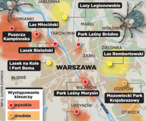 Kleszcze atakują!