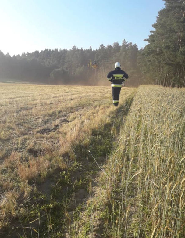 Ratował ludzi i gasił pożary. Zginął w wypadku samochodowym
