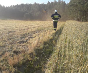 Ratował ludzi i gasił pożary. Zginął w wypadku samochodowym
