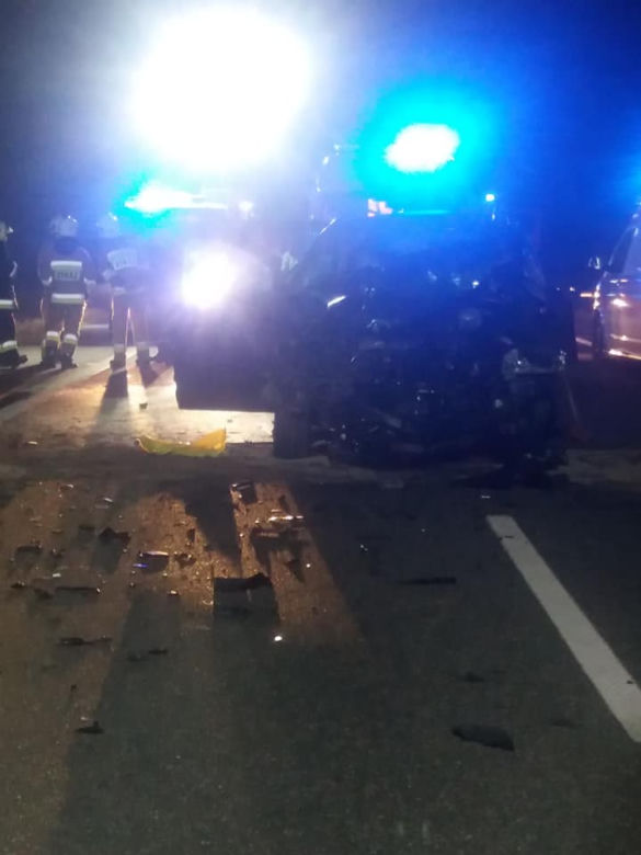 Jeleń doprowadził do tragedii w Małopolsce