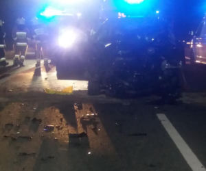 Jeleń doprowadził do tragedii w Małopolsce