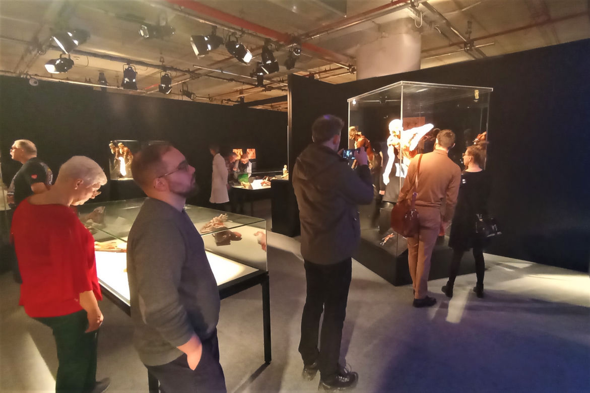 Wystawa Body Worlds w Szczecinie